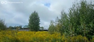 Участок в Новосибирск, микрорайон Пашино, улица Александра Освальда (10м2)